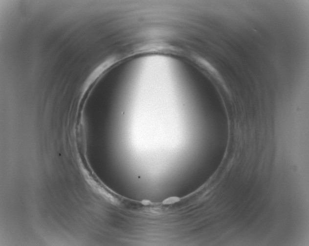 X0000081621330200701291443