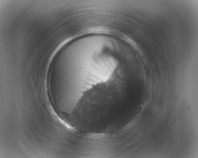 X0000081621331200701291443