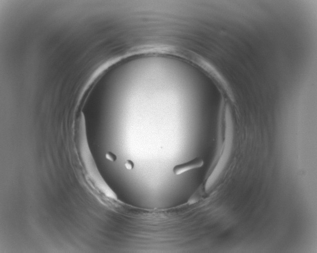 X0000081621332200701291443