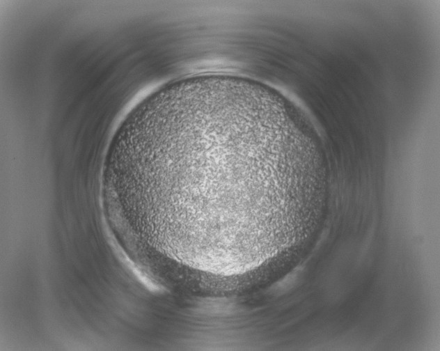 X0000081621333200701291443