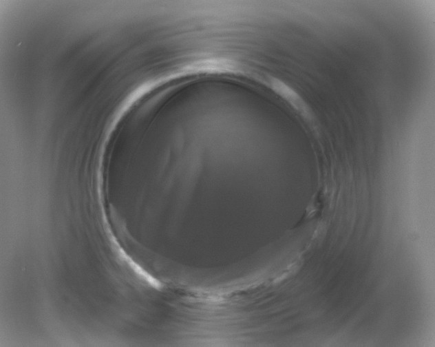 X0000081621334200701291443