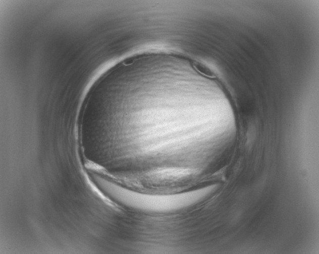 X0000081621335200701291443