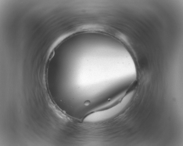 X0000081621336200701291443