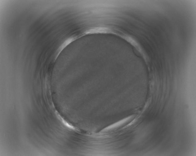 X0000081621337200701291443
