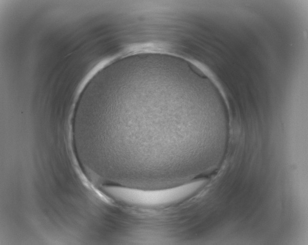 X0000081621341200701291443
