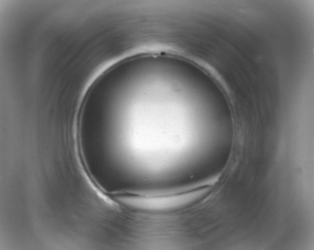 X0000081621343200701291443