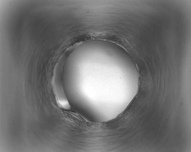 X0000081621345200701291442
