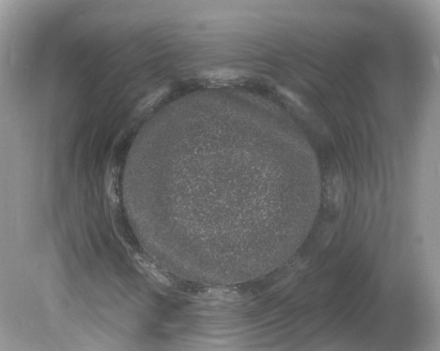 X0000081621346200701291442