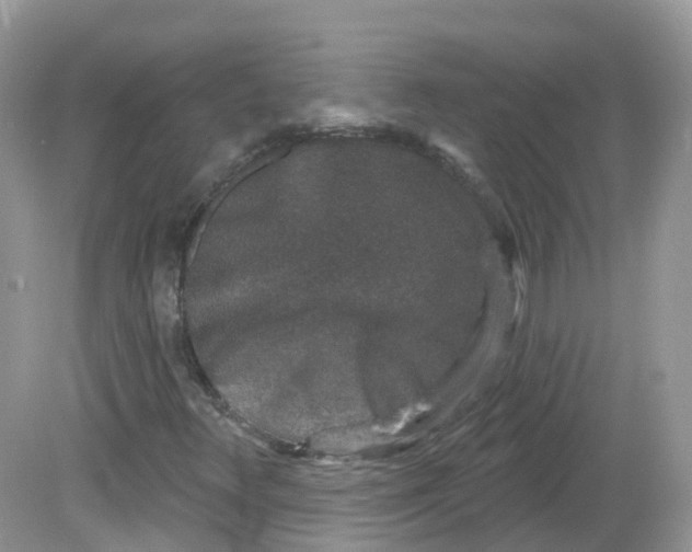 X0000081621348200701291442