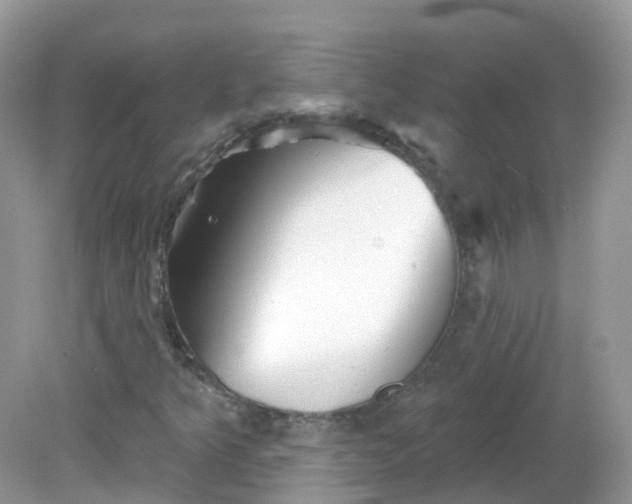 X0000081621349200701291442