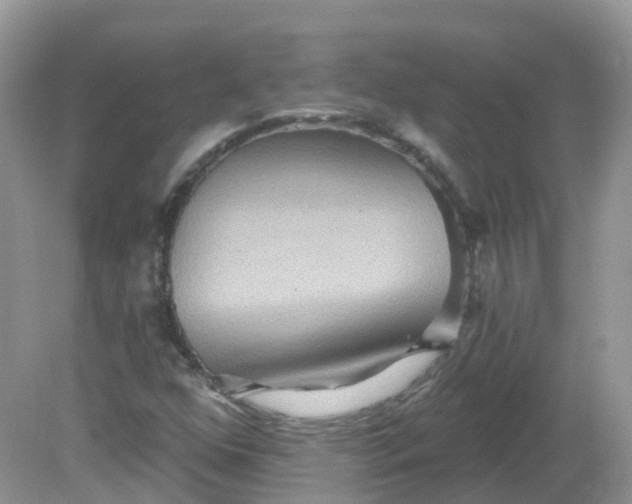 X0000081621352200701291442