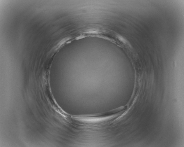 X0000081621353200701291442