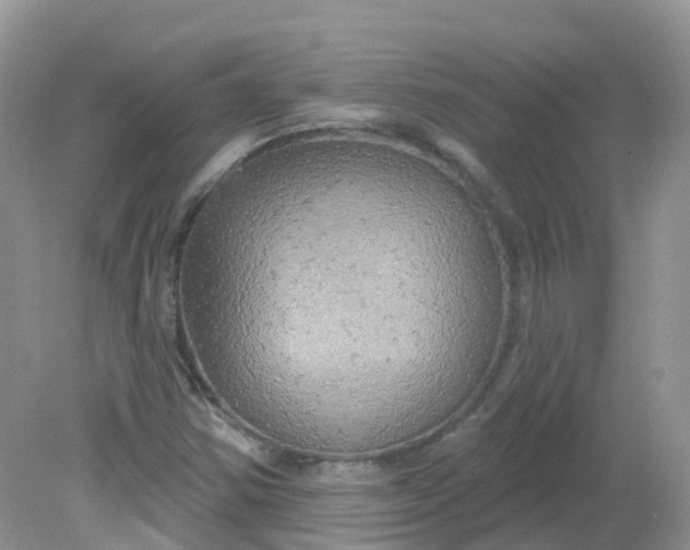 X0000081621354200701291442