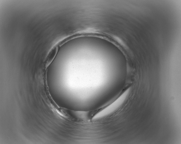 X0000081621356200701291442