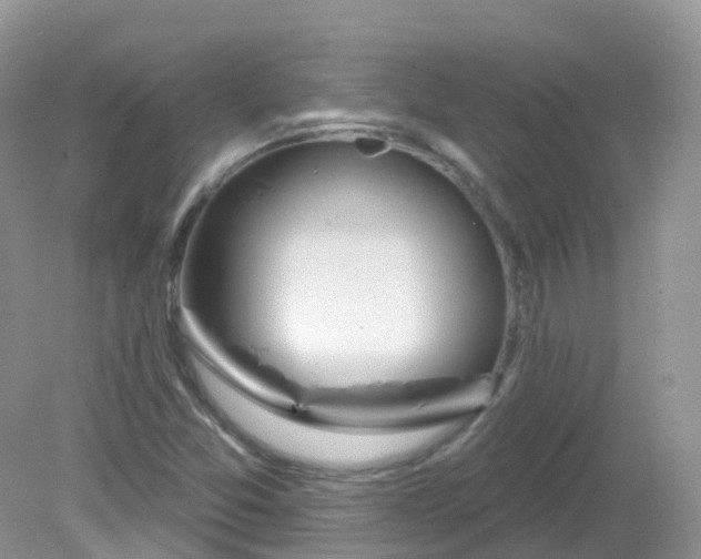 X0000081621357200701291442