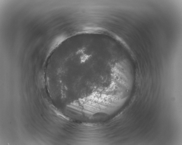 X0000081621362200701291442