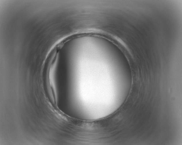 X0000081621364200701291442