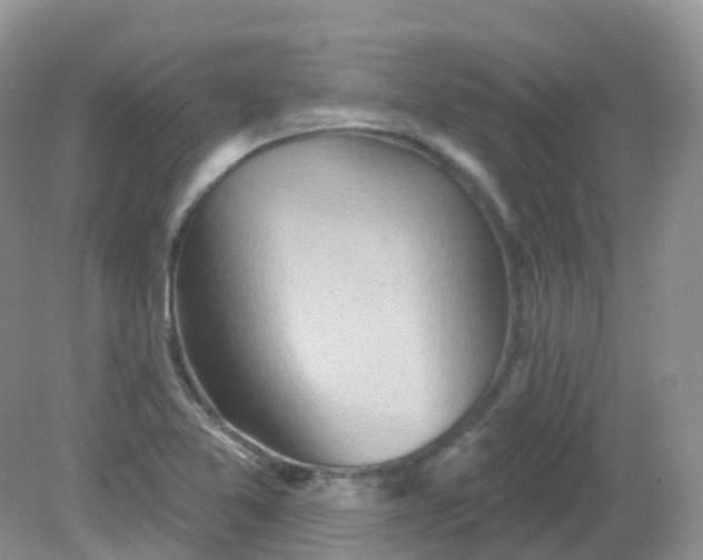 X0000081621365200701291442