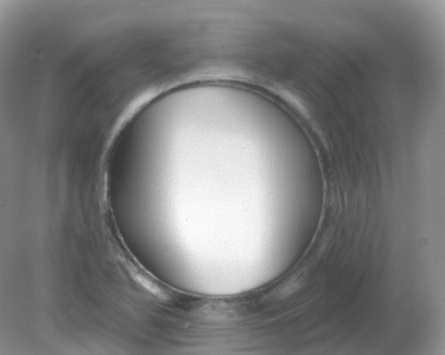 X0000081621366200701291442
