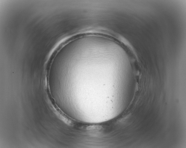 X0000081621368200701291442