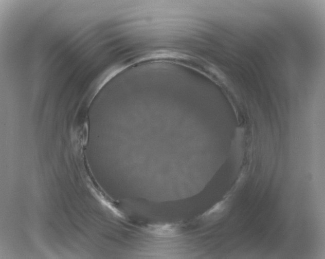 X0000081621369200701291442