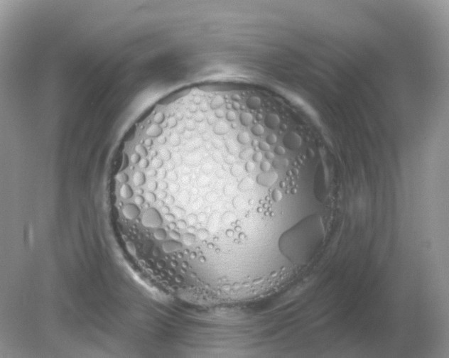 X0000081621375200701291442