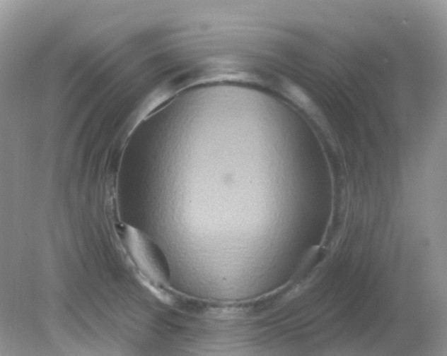 X0000081621377200701291442
