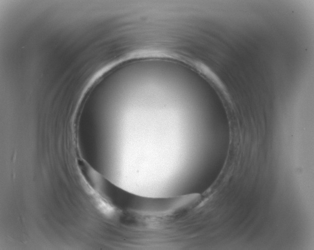 X0000081621380200701291442