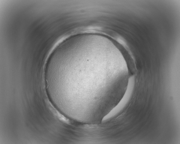X0000081621384200701291442
