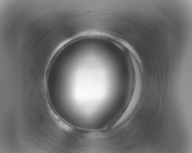 X0000081621388200701291441