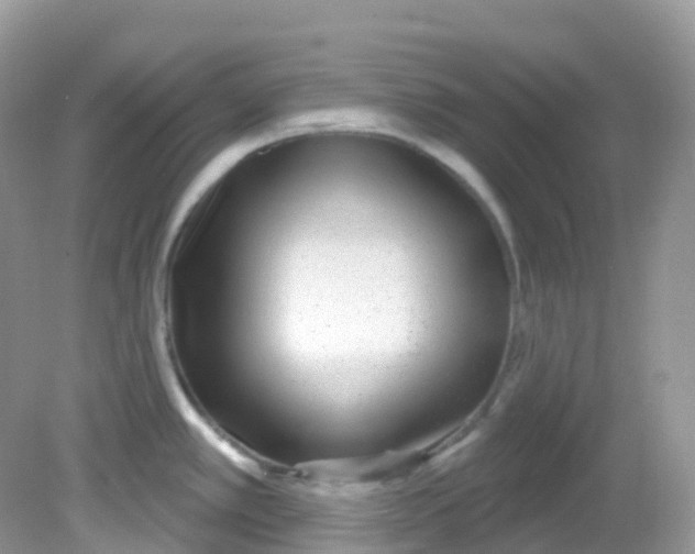 X0000081621389200701291441