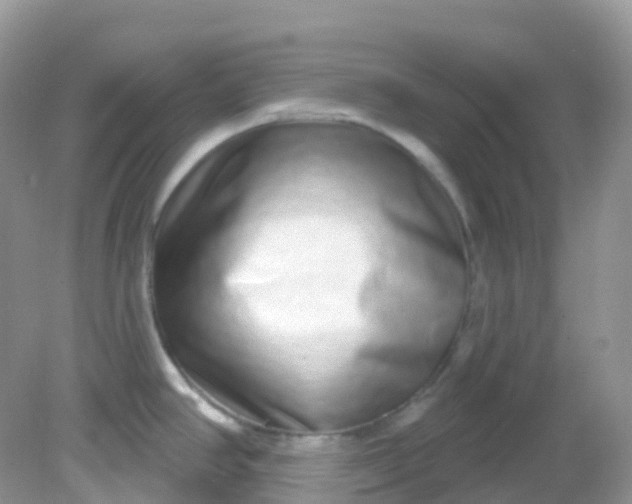 X0000081621390200701291441