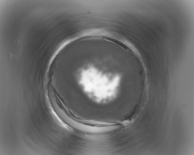 X0000081621392200701291441