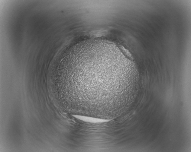 X0000081621393200701291441