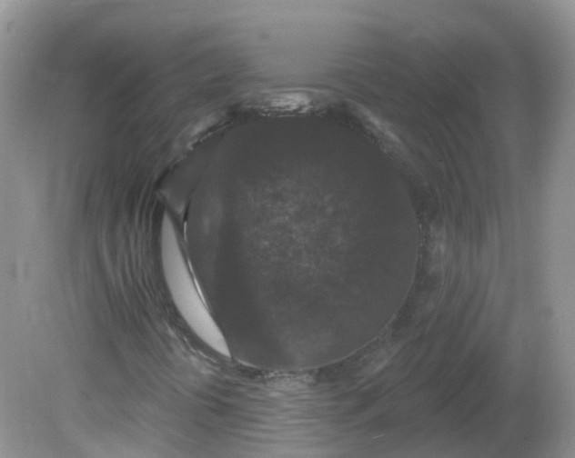 X0000081621394200701291441