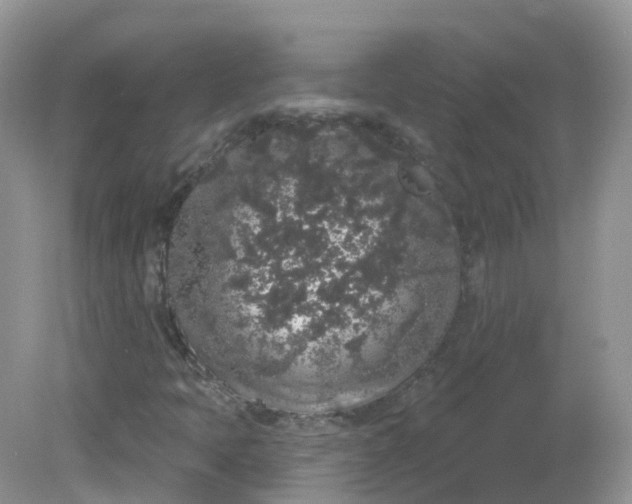 X0000081621397200701291441