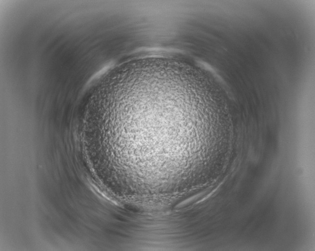 X0000081621403200701291441