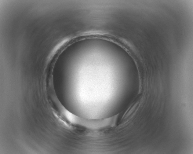 X0000081621406200701291441