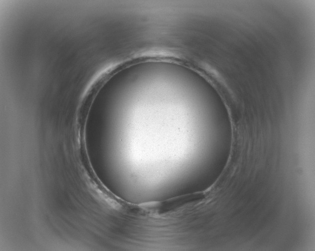 X0000081621408200701291441