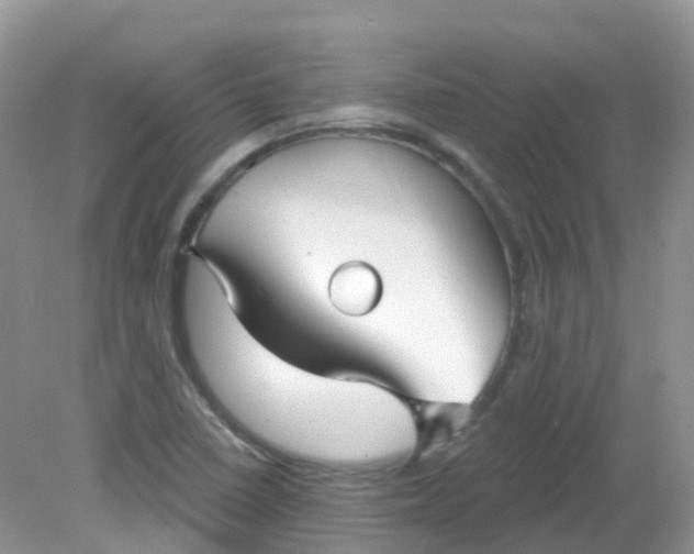 X0000081621410200701291441
