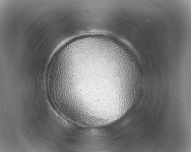 X0000081621412200701291441