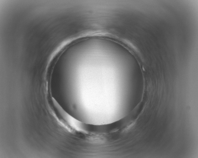 X0000081621414200701291441