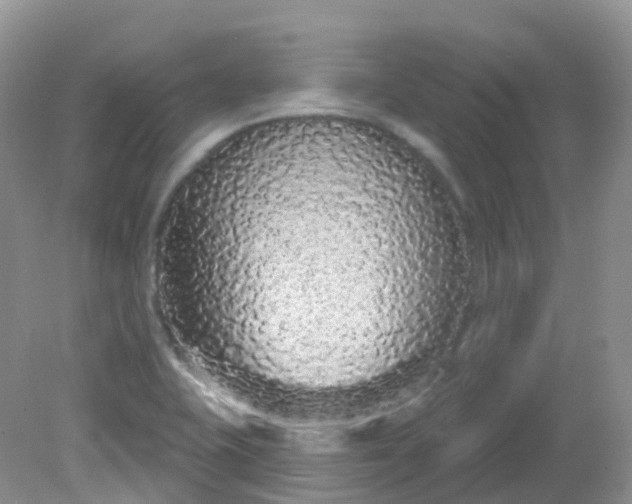 X0000081621415200701291441