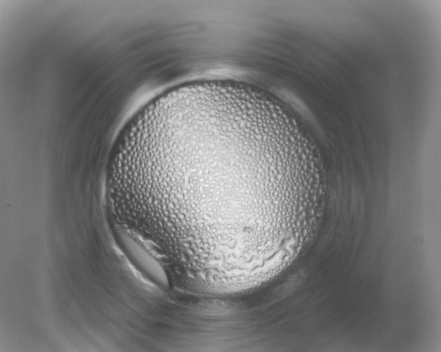 X0000081621420200701291441