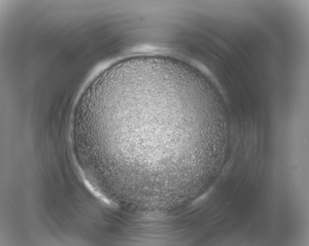X0000081621421200701291441