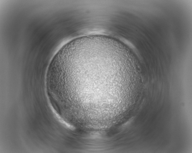 X0000081621423200701291441