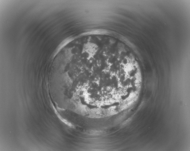 X0000081621425200701291441