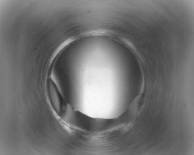 X0000081621426200701291441