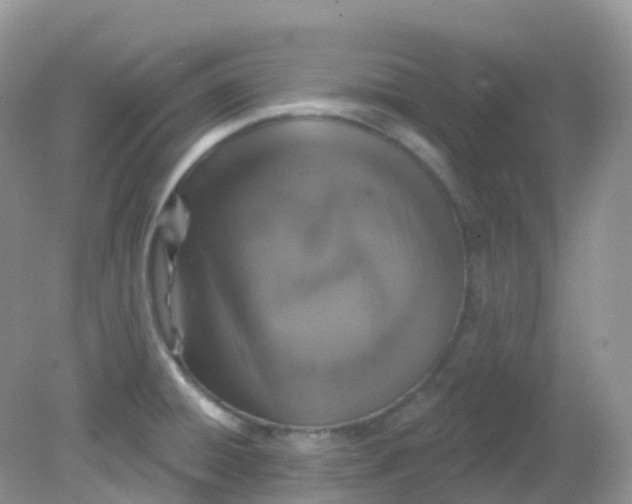 X0000081621428200701291441