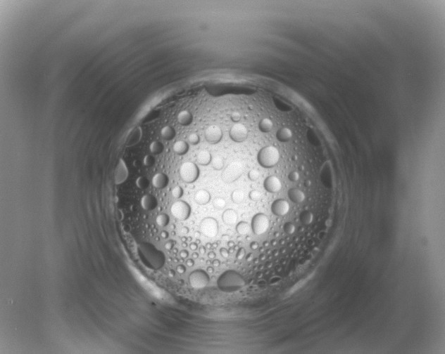 X0000081621433200701291441